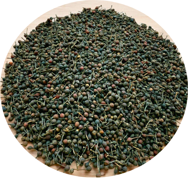 Poivre sauvage voatsiperifery Epices et petites baies vertes et brunes, avec des tiges, sur un fond lumineux.